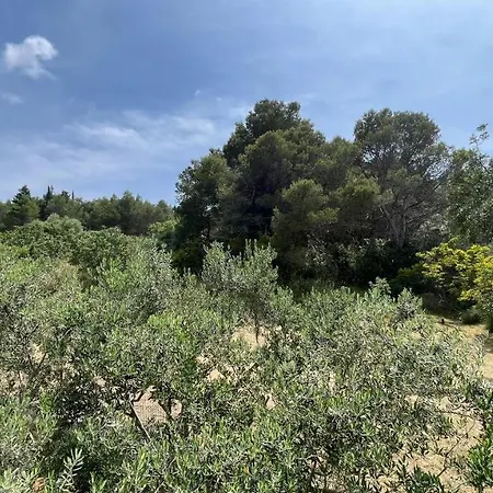 Charming With Sea View And Swimming Pool * Τρογκίρ